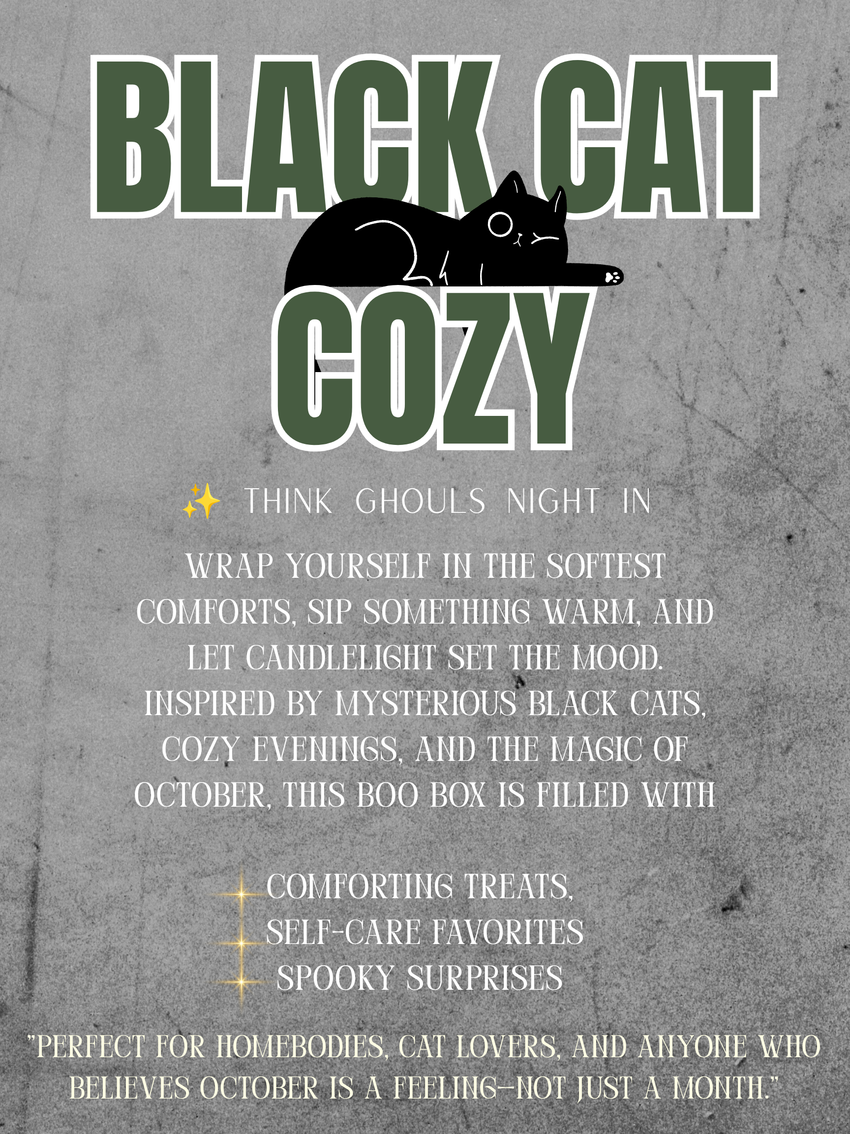 Black Cat Cozy Mystery Boo Box